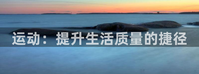 vsport体育在线官网