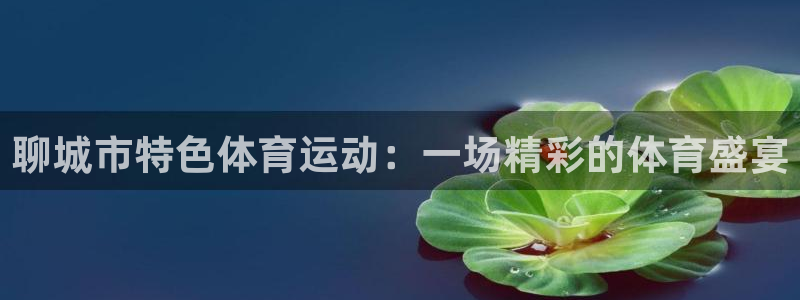 vsport体育在线官网