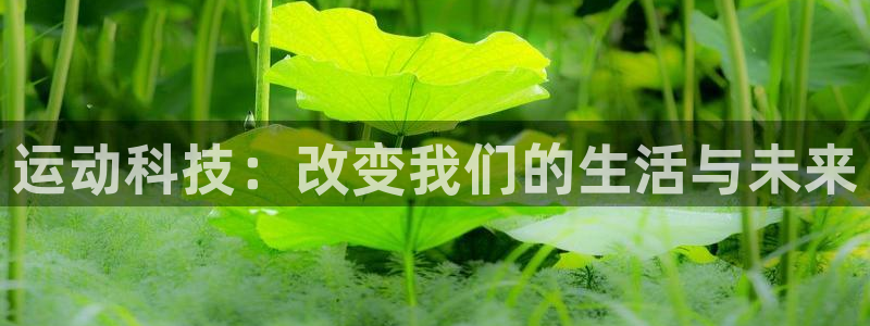 vsport体育在线官网