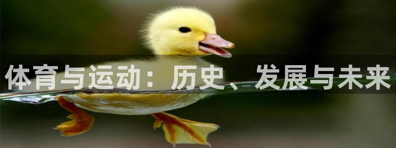 vsport体育在线官网