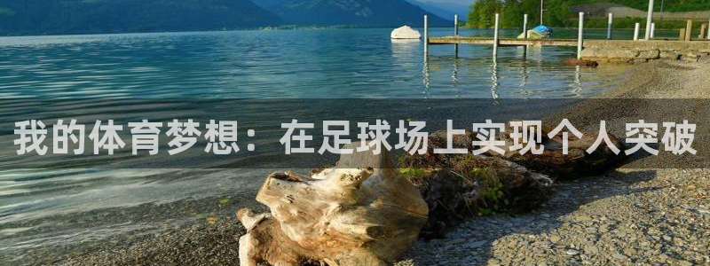 vsport体育在线官网