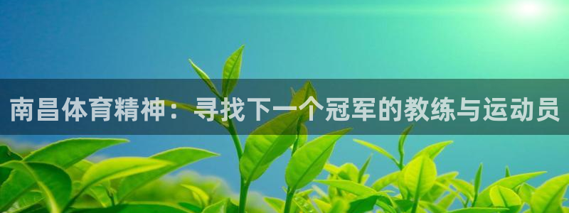 vsport体育