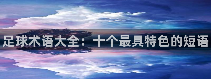 vsport体育