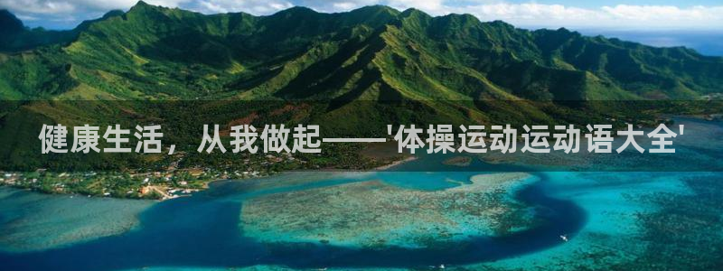 vsport体育在线官网