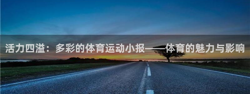 vsport体育在线官网
